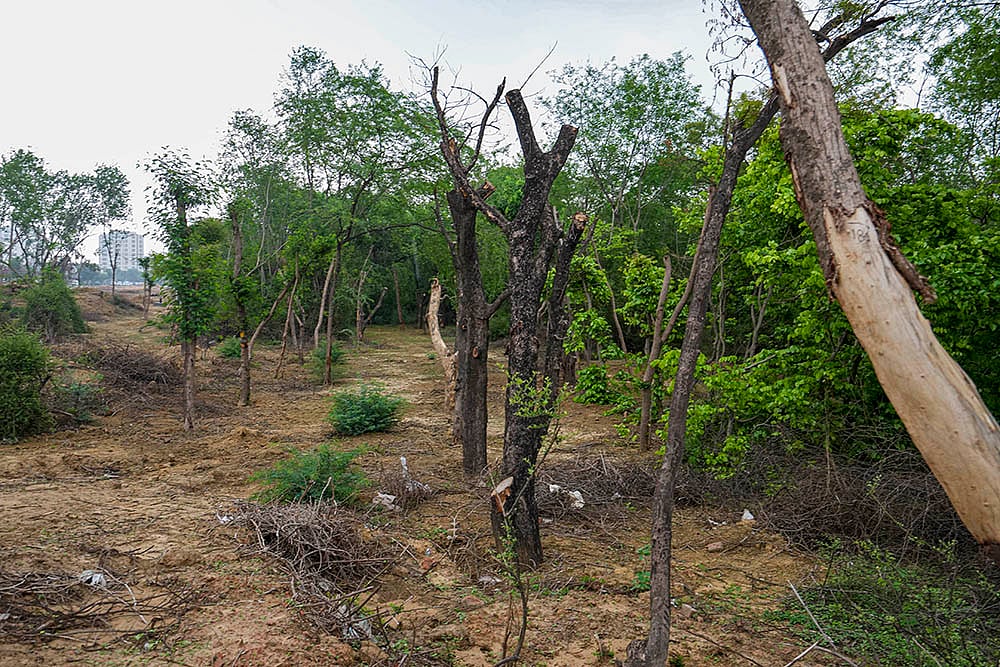 | Photo: PTI/Atul Yadav : A recent order by the Allahabad High Court deals with both questions, while setting aside a 2021 decision that had denied forest rights to members of the Tharu community in Lakhimpur Kheri.