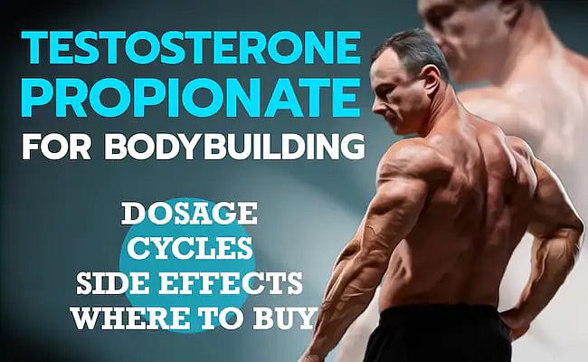 Testosterone Propionate