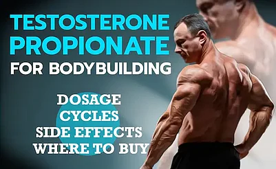 Testosterone Propionate