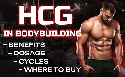 How To Use HCG For Bodybuilding And Weight Loss