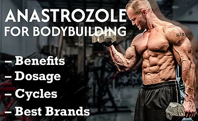 Anastrozole For Male Bodybuilders