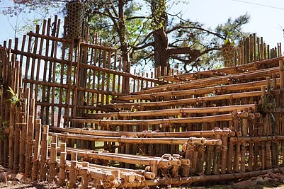 Credit: North-Eastern Hill University : The living root pavilion under construction at Shillong’s North-Eastern Hill University takes inspiration from living root bridges in Meghalaya.
