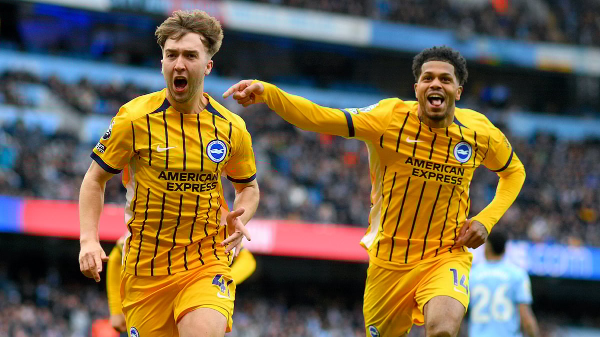 Brighton celebrate their second equalising goal against Manchester City