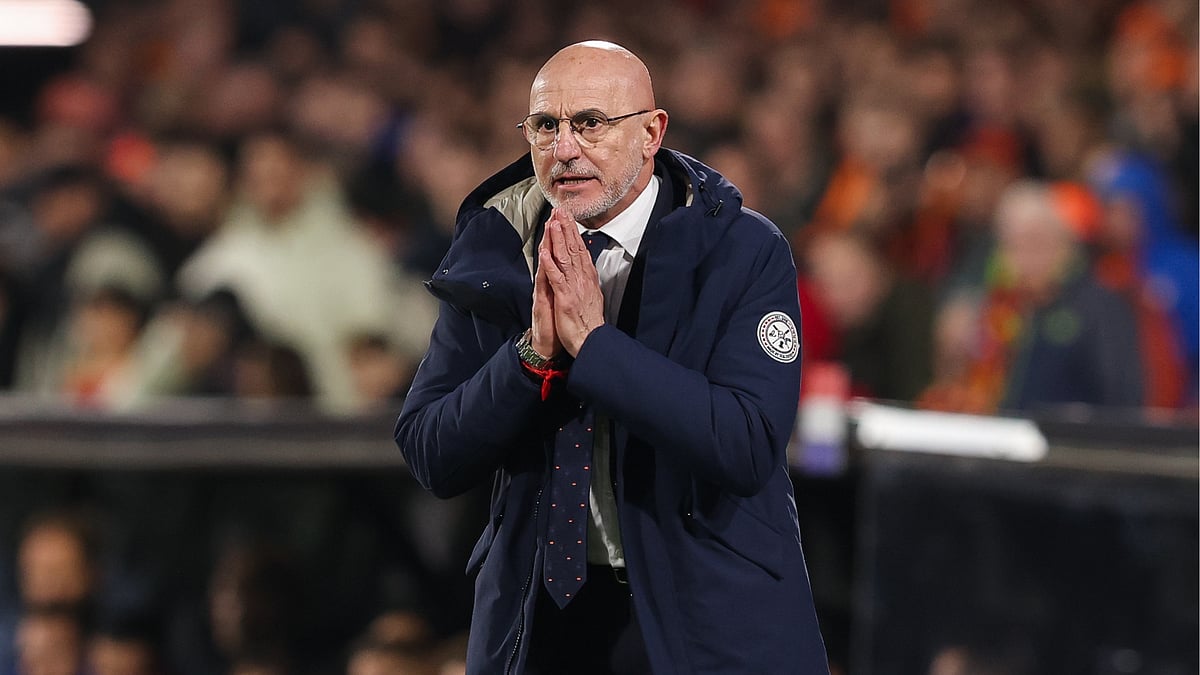 Luis de la Fuente during Spain's 2-2 draw with the Netherlands in the Nations League