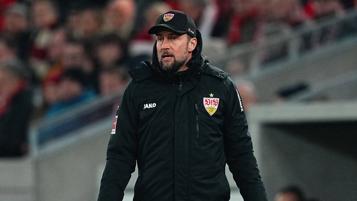 Stuttgart boss Sebastian Hoeness