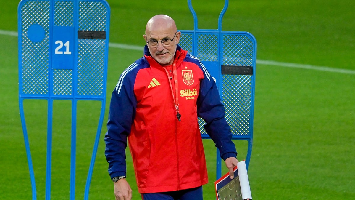 Spain coach Luis de la Fuente