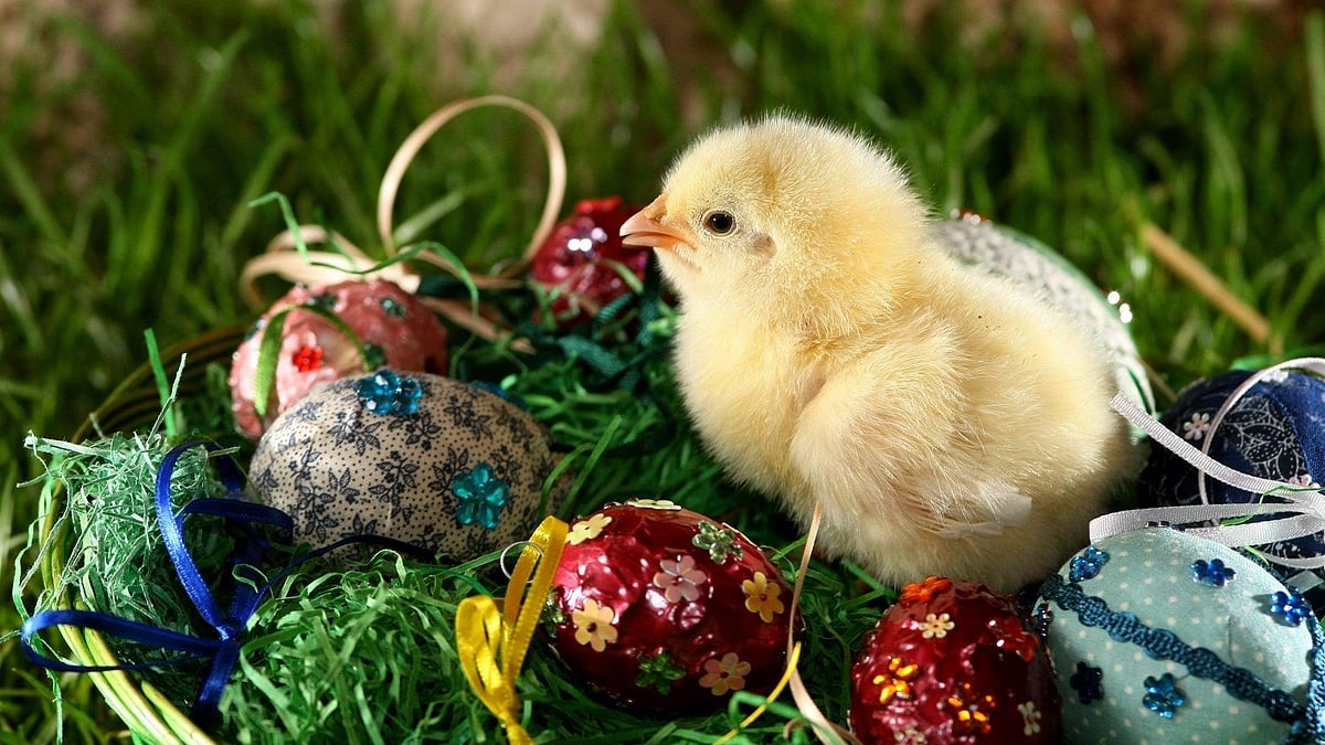 Easter Traditions Around The World 2026: UK, Germany, USA, And India