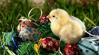 Easter Traditions Around The World 2026: UK, Germany, USA, And India