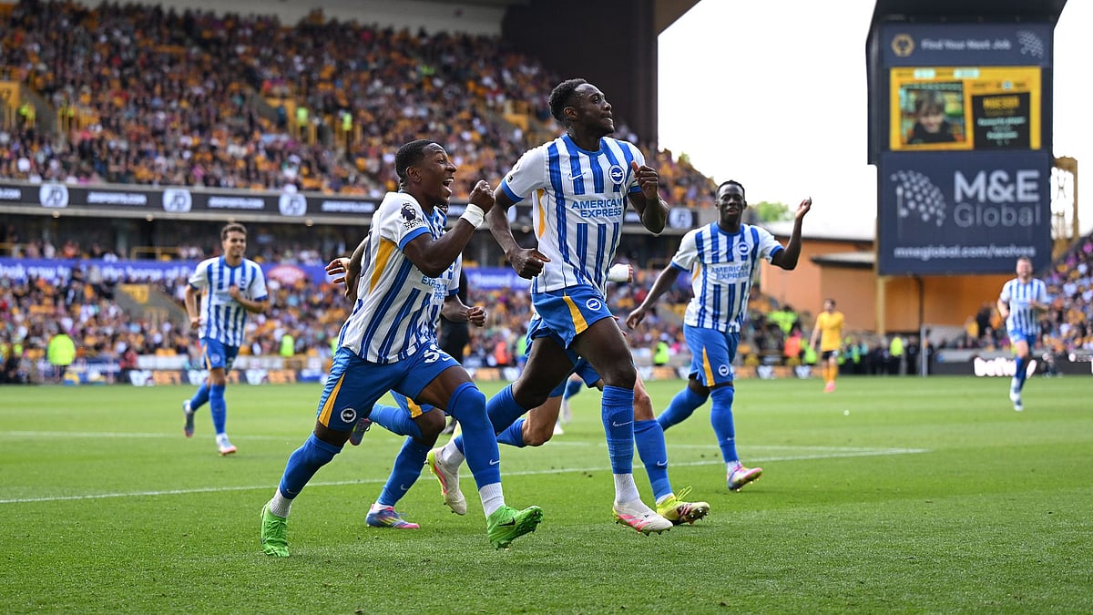 Brighton celebrate Welbeck's opener at Molineux.