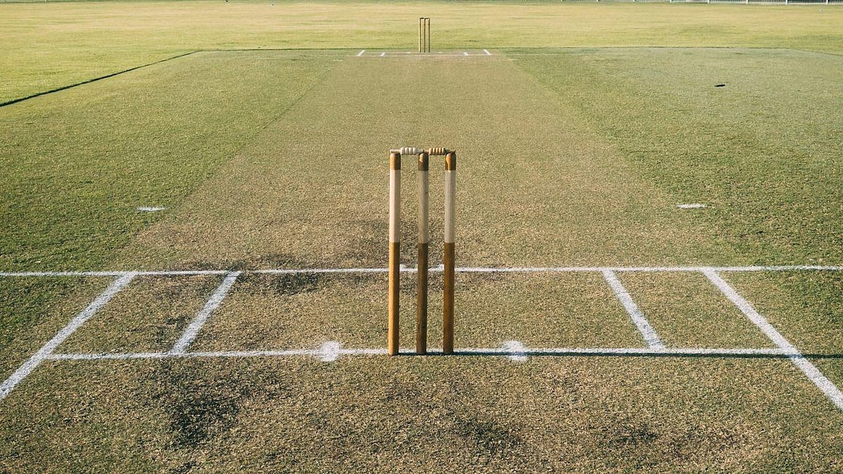 File : Representative image