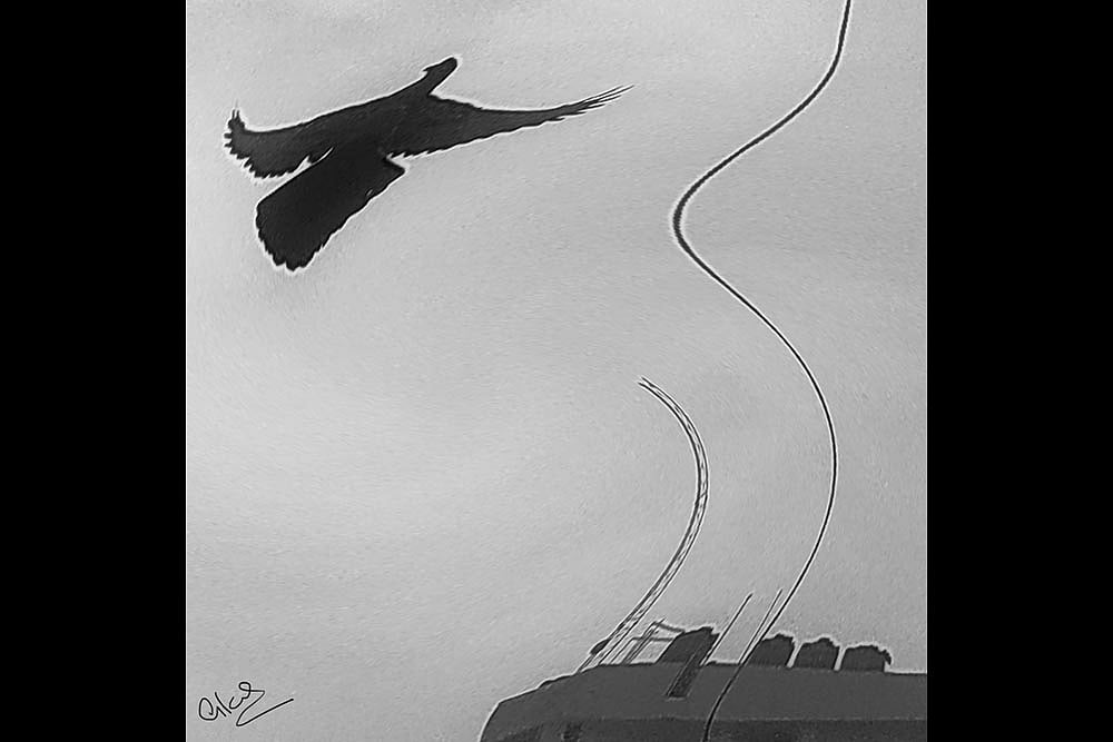 There Is a Suicide Crisis Amongst Indias Youth And Elderly 