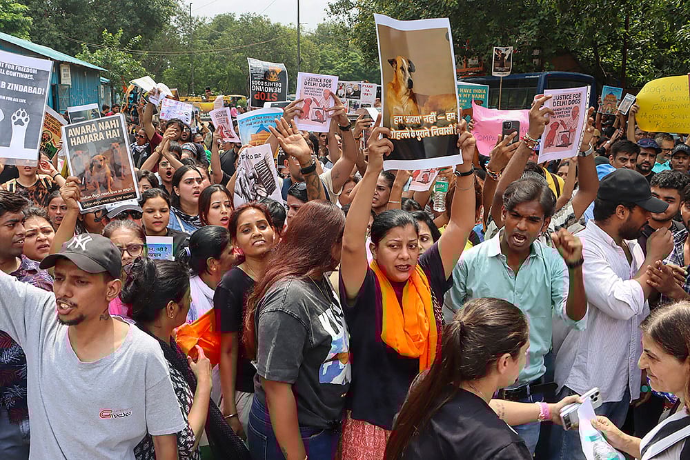 | Photo: PTI : NCR stray dogs case: Protest in Delhi