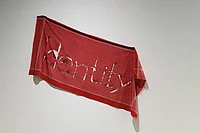 Bihar Elections: ‘What Is The Caste Of Vikas?’