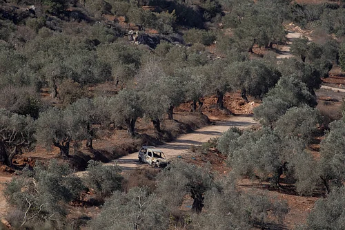 IMAGO / Middle East Images : A burned-out vehicle sits on a dirt road among olive trees in the village of Baita, south of Nablus in the occupied West Bank, on November 1, 2025. Tensions have risen in the area as settlers and Israeli forces confront Palestinian farmers during the olive harvest season.