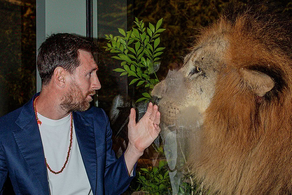 | Photo: Vantara via PTI : Argentine footballer Lionel Messi during a visit at Vantara, a wildlife rescue, rehabilitation and conservation centre, in Jamnagar, Gujarat. 