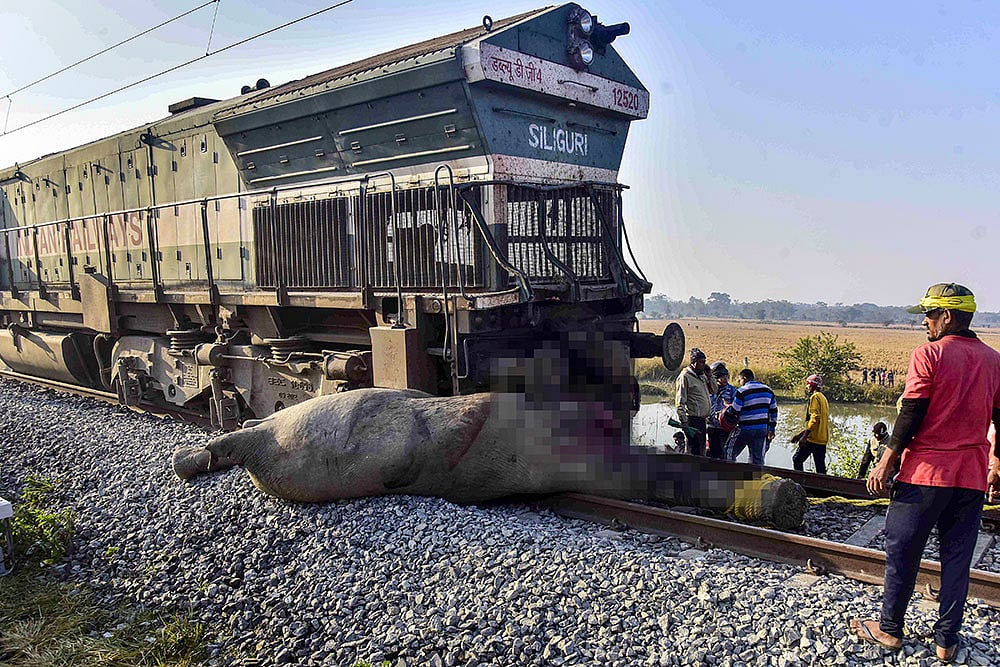 | Photo: PTI : Eight elephants are killed after a herd is struck by the Sairang-New Delhi Rajdhani Express, in Nagaon district, Assam.