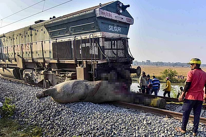 | Photo: PTI : Eight elephants are killed after a herd is struck by the Sairang-New Delhi Rajdhani Express, in Nagaon district, Assam.