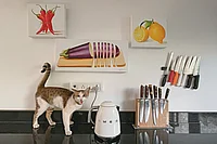 Outlook Anniversary Issue: The Seduction Of Elsewhere