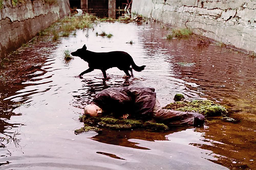 Real/Reel: A screen grab from the film Stalker