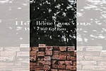 Well-Kept Ruins | Hélène Cixous | Seagull Books | 156 pages | Rs 699