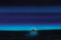 Outlook Anniversary Issue: The World And The Word