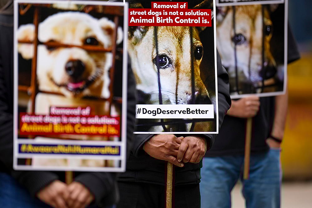 | Photo: PTI/Karma Bhutia : Delhi Court Fines Animal Care Centre ₹2 Lakh Over Pet Dog Custody.