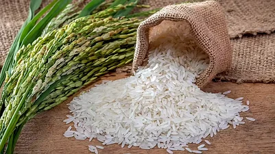 Why Every Region Cooks Rice Differently For Sankranti