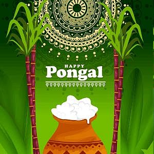 Pongal 2026 In Tamil Nadu: Best Places To Experience Traditional Celebrations