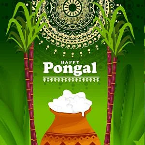 Pongal 2026 In Tamil Nadu: Best Places To Experience Traditional Celebrations