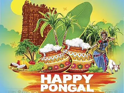 Pongal 2026: Date, Traditions, And The Spirit Of The Harvest Festival