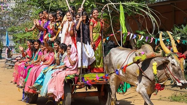 The Four Days Of Pongal: Bhogi, Thai, Mattu, And Kaanum Pongal Explained