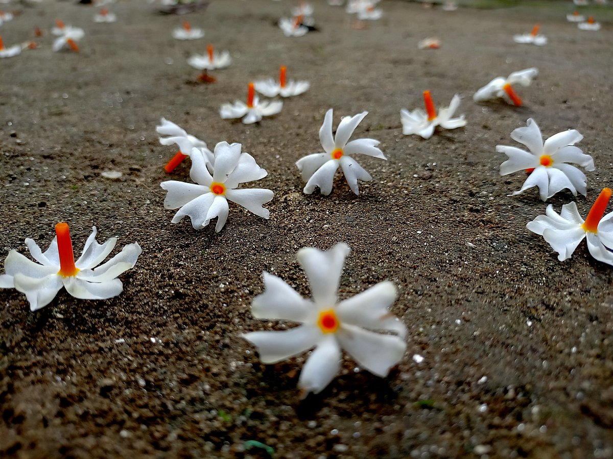 Shutterstock : Representative Image