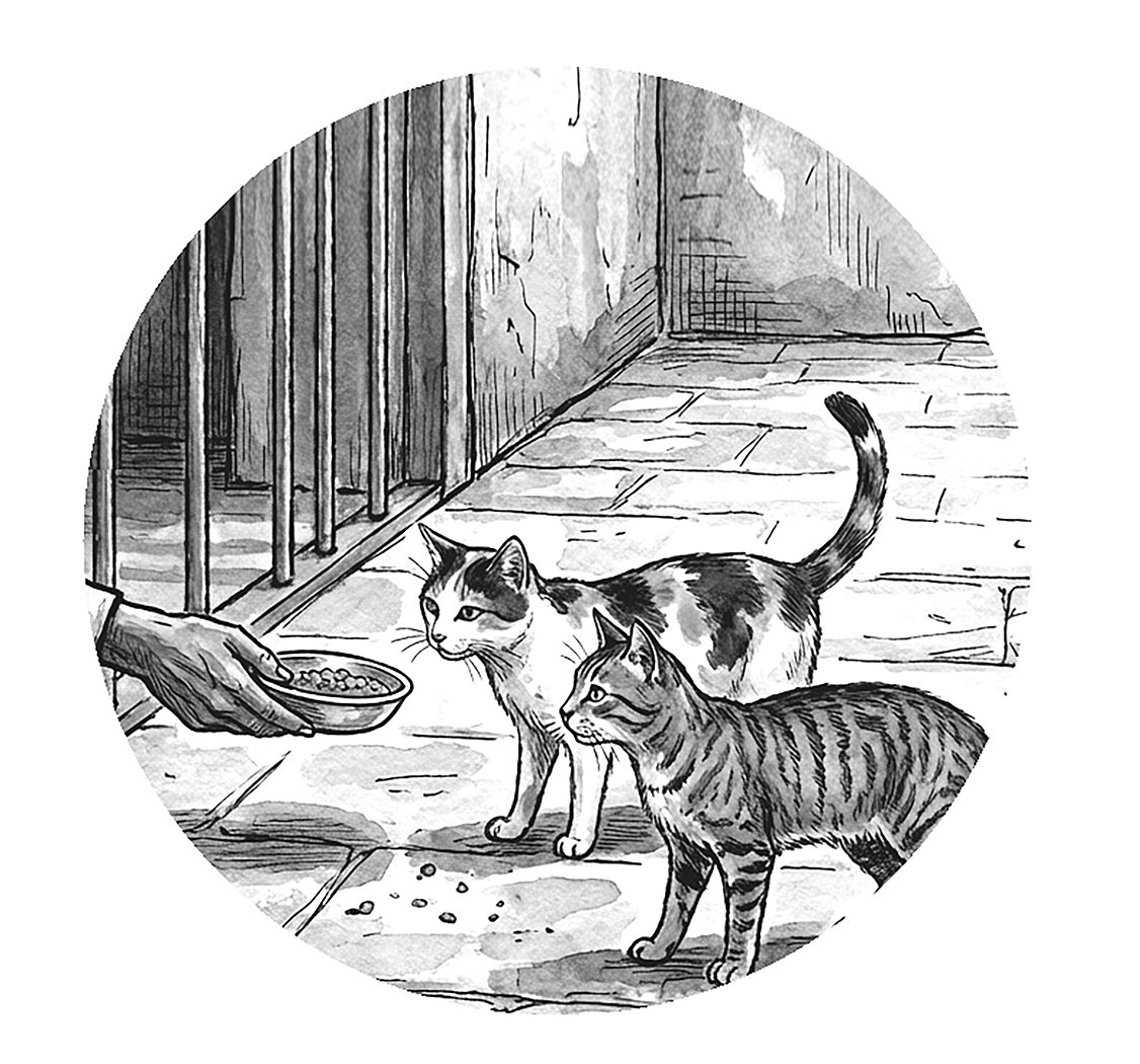 Voices From Prison: Hope Remains A Stubborn Thing Even In Captivity, Says Umar Khalid