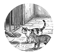 Voices From Prison: Hope Remains A Stubborn Thing Even In Captivity, Says Umar Khalid