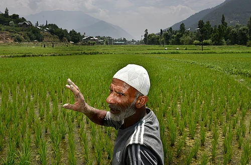 Rep. Photo - yasir iqbal : Union Budget 2026: J&K Central Grants Rise, Mixed Reactions