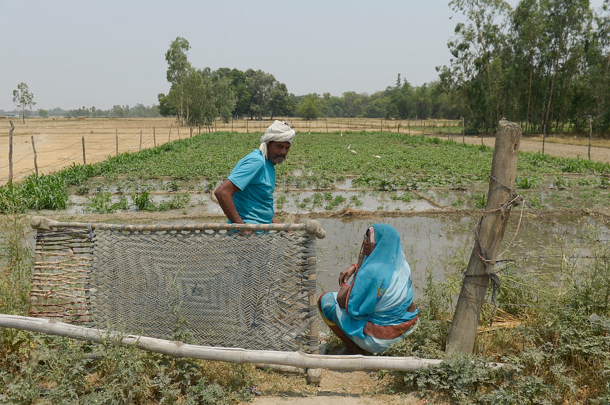Vikram Sharma : Farmer in Bareli