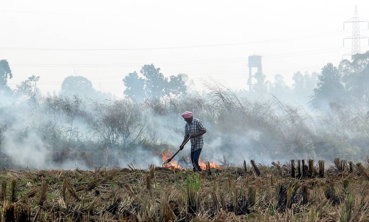 IMAGO / ANI News :  A man seen burning paddy stubble in a village at Rajpura Road, in Patiala, Punjab