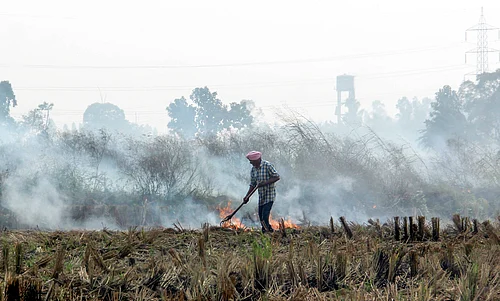 IMAGO / ANI News : A man seen burning paddy stubble in a village at Rajpura Road, in Patiala, Punjab