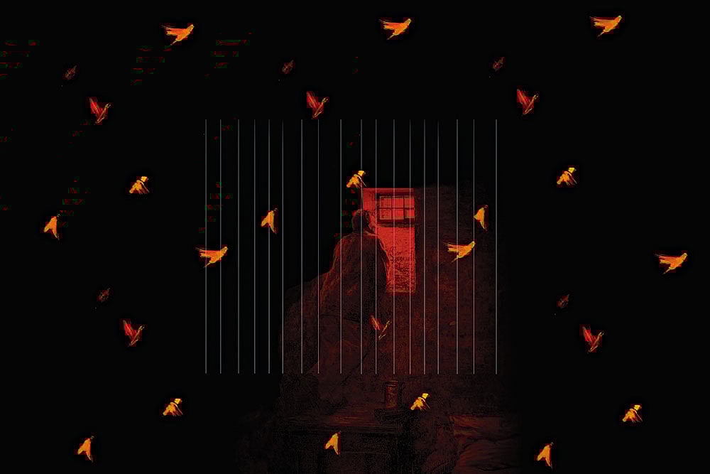 Winter Will One Day Be Past: Review Of Umar Khalid And His World