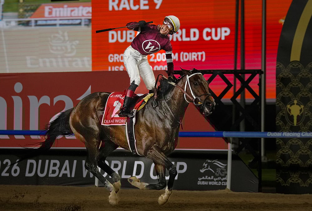 | Photo: AP/Altaf Qadri : Jockey Jose Ortiz, aboard Magnitude, celebrates winning the $12 million Dubai World Cup horse race over 2000m (10 furlongs) at Meydan Racecourse in Dubai, the United Arab Emirates.