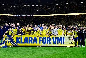 | Photo: Jonas Ekstromer/TT via AP : Sweden players and staff celebrate qualifying for the World Cup after a World Cup qualifying playoff final soccer match between Sweden and Poland in Stockholm.