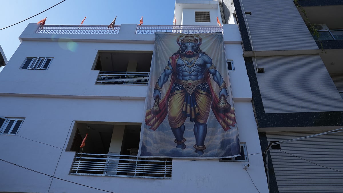 Photo: Subhashree Rath : Large flex print of Varaha hanging on the facade of one of the residential buildings in Tri Nagar.