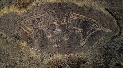 X.com :
The ancient petroglyphs in Ratnagiri, Konkan are estimated to be 10,000–20,000 years old, and depict extinct fauna like one-horned rhinos, elephants, and reptiles.