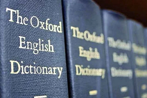 File photo : Lexicographers noted a sharp rise in the usage of the term over the past year, mirroring a wider shift in online behaviour.