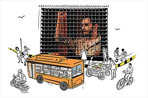 Illustration : Umar Khalid