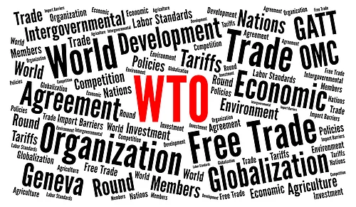 File photo : In a communication to the World Trade Organisation (WTO), China has stated that consultations were held on November 25, 2025, and January 6, 2026, with a view to reaching a mutually agreed solution. Unfortunately, those consultations failed to resolve the dispute, it said.